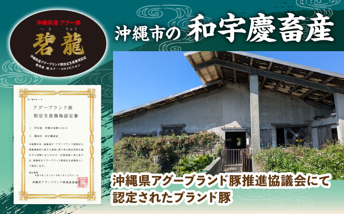 おにくの碧龍の「アグー豚のハンバーグ・ソーセージ詰め合わせギフト」 豚肉 ハンバーグ ソーセージ 詰め合わせ お取り寄せ 国産 ギフト 沖縄市 / おにくの碧龍 [BCEO013]