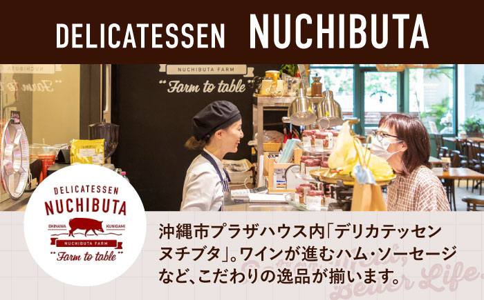 『NUCHIBUTA Cセット』 豚肉 ポークステーキ ハンバーグ ソーセージ ベーコン ハム 詰め合わせ お取り寄せ 国産 ギフト 冷凍 沖縄市 / DELICATESSEN NUCHIBUTA [BCAR005]