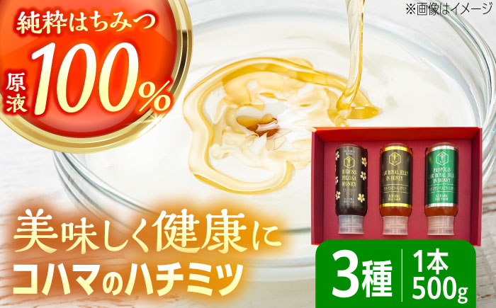 コハマのハチミツ 500g 3本セット 蜂蜜 はちみつ ハチミツ 国産 ギフト  沖縄市 / 農業生産法人株式会社小浜養蜂場 [BCAQ005]