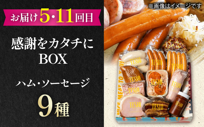 【全12回定期便】家族で満喫！沖縄のお肉贅沢セット【沖縄市】ハンバーグ あぐー 石垣牛 ステーキ 焼肉 冷凍 ギフト お取り寄せ 沖縄市 / お肉屋本店 / 豚々茶舗 / TESIO / 肉のサブロー [BCZZ035]