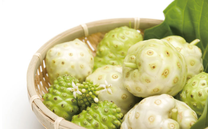 沖縄県産ノニ100％使用『神寿 SHINJU』720ml×1本 ノニジュース 沖縄 健康ドリンク 健康食品 ギフト 沖縄市/有限会社おきりゅう [BCBB001]