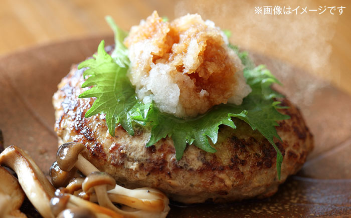 【全3回定期便】家族で満喫！沖縄のお肉贅沢セット【沖縄市】ハンバーグ あぐー 石垣牛 ステーキ 焼肉 冷凍 ギフト お取り寄せ 沖縄市 / お肉屋本店 / 肉のサブロー [BCZZ033]