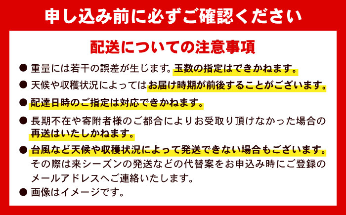【2026年発送】 訳あり 完熟マンゴー 約2kg (4〜6玉入) マンゴー 沖縄 果物 フルーツ ギフト 沖縄市 / ちゃんぷる〜市場 [BCAA002]