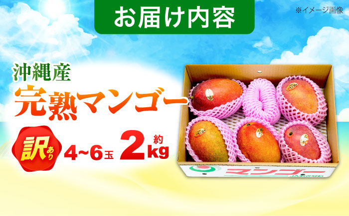 【2026年発送】 訳あり 完熟マンゴー 約2kg (4〜6玉入) マンゴー 沖縄 果物 フルーツ ギフト 沖縄市 / ちゃんぷる〜市場 [BCAA002]