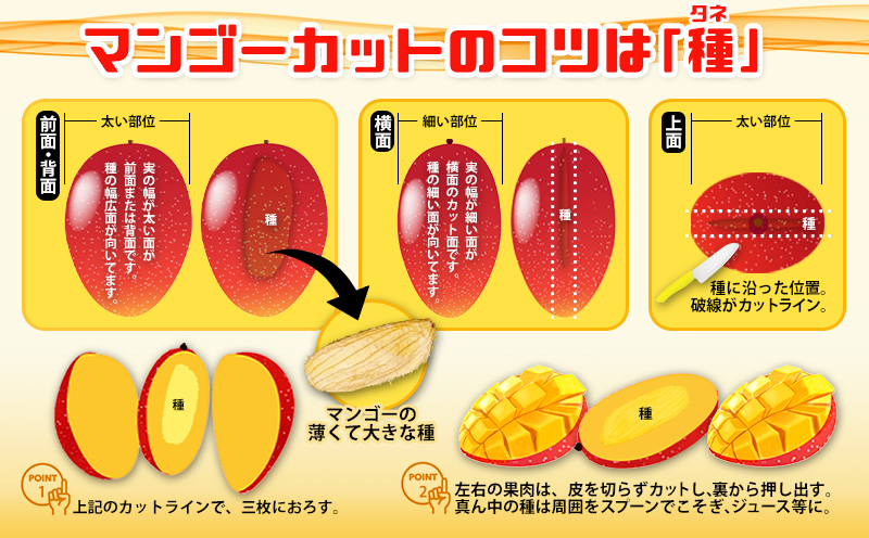 ＜2025年発送＞沖縄県産　完熟マンゴー　2kg以上　優品 産地直送 先行予約 フルーツ 果物 くだもの 完熟マンゴー アップルマンゴー アップル アーウィン種 甘い 美味しい 濃厚 旬 夏 おすすめ お取り寄せ 冷蔵 国産 沖縄 沖縄県産