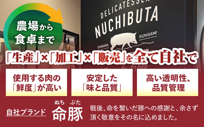 『NUCHIBUTA Bセット』 豚肉 ポークステーキ ソーセージ 詰め合わせ お取り寄せ 国産 ギフト 冷凍 沖縄市 / DELICATESSEN NUCHIBUTA [BCAR004]