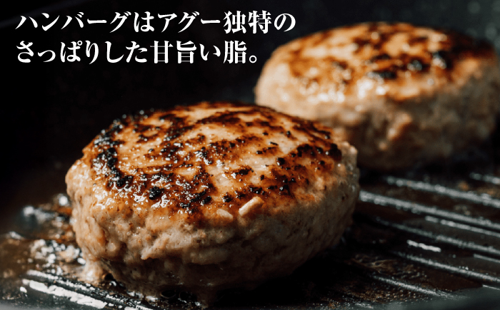 碧龍の「アグー豚 詰め合せギフト」 豚肉 ハンバーグ ソーセージ ベーコン ヒレ 詰め合わせ お取り寄せ 国産 ギフト 沖縄市 / 碧龍 [BCEO015]