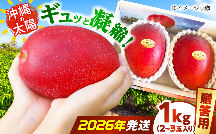 【2026年7月上旬より順次発送】【贈答用】沖縄市産マンゴー「太陽のめぐみ」 1kg(2～3玉) (化粧箱入り) 南国フルーツ 産地直送 新鮮 沖縄県産 ギフト 沖縄市 / 比嘉マンゴー園 [BCEW001]