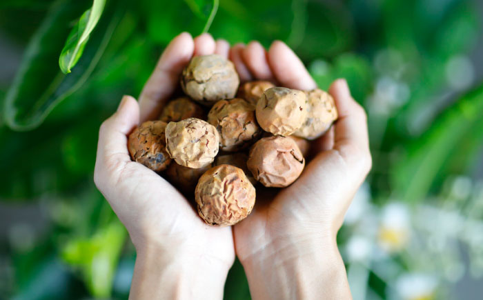 Natural Essence TAMANU 沖縄県産タマヌオイル 100% Pure Oil 30ml (約90日分) 美容オイル 美容液 スキンケア 保湿 化粧品 沖縄市 / 株式会社すまエコ [BCBJ002]