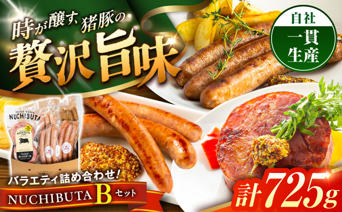 『NUCHIBUTA Bセット』 豚肉 ポークステーキ ソーセージ 詰め合わせ お取り寄せ 国産 ギフト 冷凍 沖縄市 / DELICATESSEN NUCHIBUTA [BCAR004]