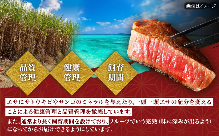 【全12回定期便】【数量限定】沖縄和牛 佐渡山牛 サーロイン＆希少部位 ステーキ肉 500g 牛肉 和牛 サーロインステーキ 焼肉 赤身 沖縄市 / 肉のサブロー [BCBC016]