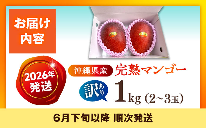 【優秀賞受賞】沖縄県産 完熟マンゴー 訳アリ 1kg (2〜3玉) マンゴー 沖縄 果物 フルーツ ギフト 沖縄市 / MAIFARM [BCAN003]