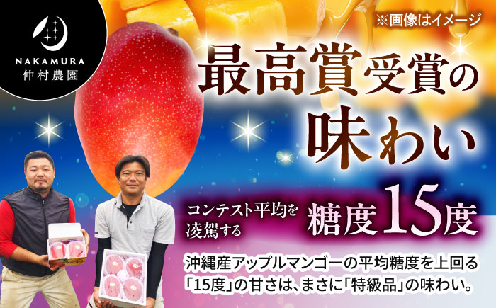 【全2回】太陽の恵み マンゴーご褒美便 (総計2kg) マンゴー 2026 沖縄 果物 フルーツ ギフト 沖縄市 / 仲村農園 [BCZZ051]
