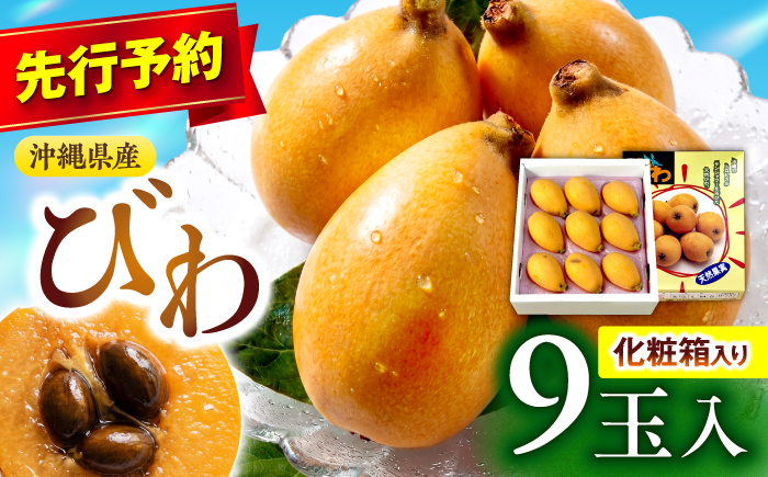 【2027年発送・先行受付】 【化粧箱入り】 沖縄産びわ (500g・9玉入り) フルーツ 果物 ギフト お取り寄せ 沖縄産 沖縄市 / ちゃんぷる～市場 [BCAA008]