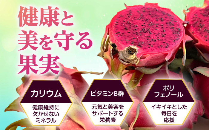 【2026年発送】 完熟ドラゴンフルーツ 2kg (5玉) 果物 フルーツ スーパーフード 産地直送 沖縄市 / タカエスフルーツ＆ベジタブル [BCBH004]