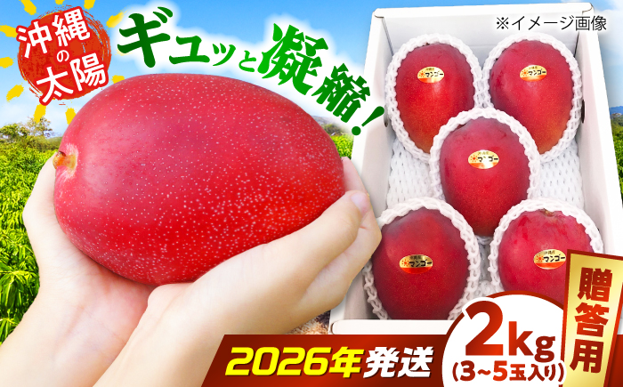 【2026年7月上旬より順次発送】【贈答用】沖縄市産マンゴー「太陽のめぐみ」 2kg(3～5玉) (化粧箱入り) 南国フルーツ 産地直送 新鮮 沖縄県産 ギフト 沖縄市 / 比嘉マンゴー園 [BCEW002]