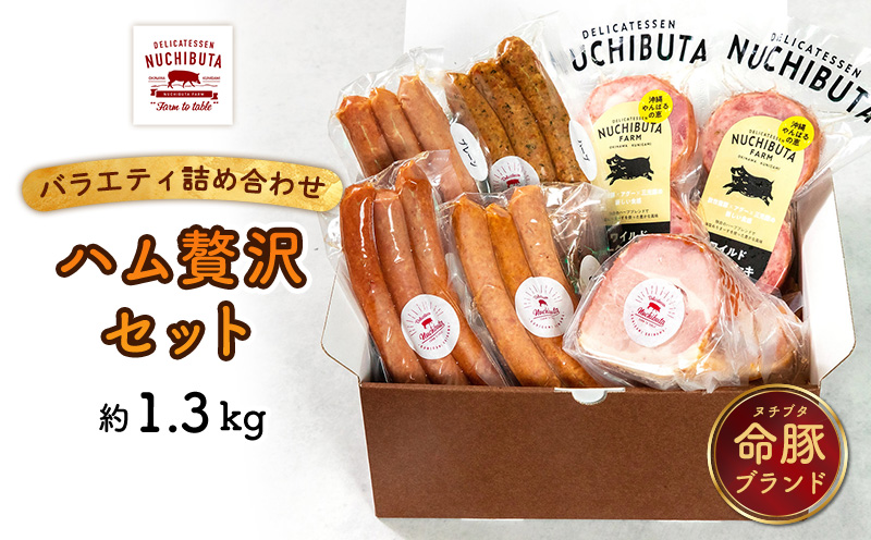 デリカテッセンヌチブタ　バラエティ詰め合わせ【ハム贅沢セット】約1.3kg NUCHIBUTA 豚肉 加工品 ソーセージ ポーク ハム 詰め合わせ バラエティ おつまみ おかず 肉 グルメ 手作り アウトドア バーベキュー キャンプ飯 冷凍 国産 沖縄県産 沖縄市