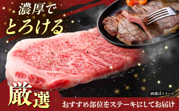 【全12回定期便】【厳選！おすすめ部位】沖縄和牛 佐渡山牛 ステーキ肉 500g ステーキ 牛肉 和牛 焼肉 赤身 沖縄市 / 肉のサブロー [BCBC007]