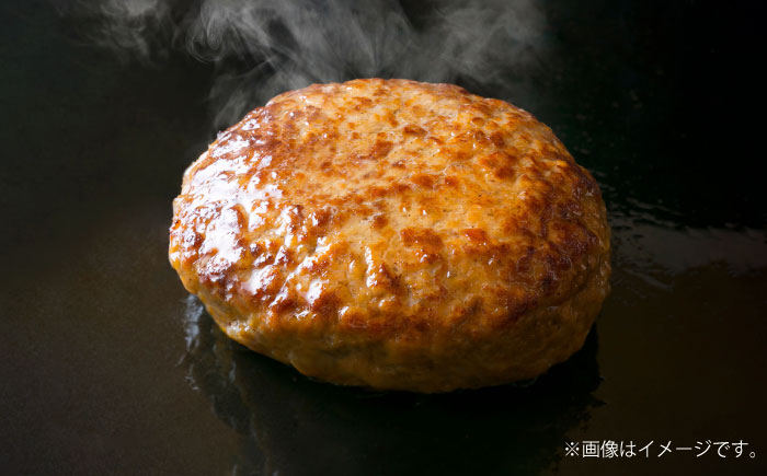 自家製ハンバーグ (8人前) ハンバーグ 肉 冷凍 惣菜 ギフト 沖縄市 / みやんち STUDIO&COFFEE [BCCX013]