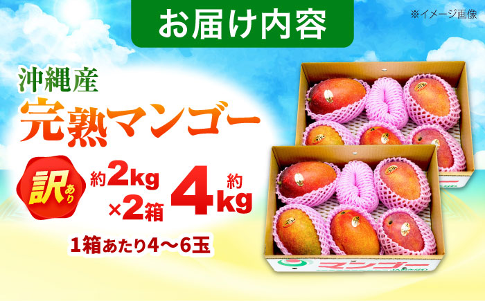 【2026年発送】 訳あり 完熟マンゴー 約4kg (約2kg×2箱) マンゴー 沖縄 果物 フルーツ ギフト 沖縄市 / ちゃんぷる〜市場 [BCAA007]