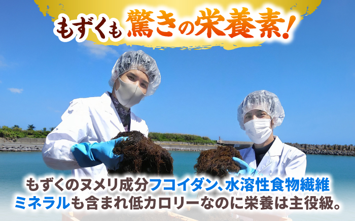 しゃぶしゃぶ用 沖縄県産極太もずく モズク 太もずく しゃぶしゃぶ 国産 沖縄市 / 合同会社沖縄直販 [BCDM004]