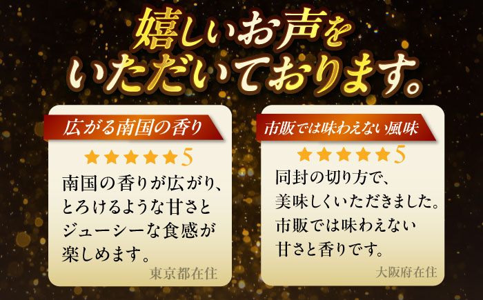 【2026年発送】【贈答用】仲村農園の完熟アップルマンゴー1kg マンゴー 沖縄 果物 フルーツ ギフト 沖縄市 / 仲村農園 [BCCU002]