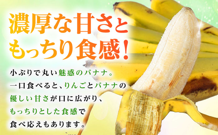 【2026年発送】ムッチリ食感！沖縄県産アップルバナナ 2kg バナナ フルーツ 果物 banana 沖縄市 / タカエス フルーツ＆ベジタブル [BCBH001]