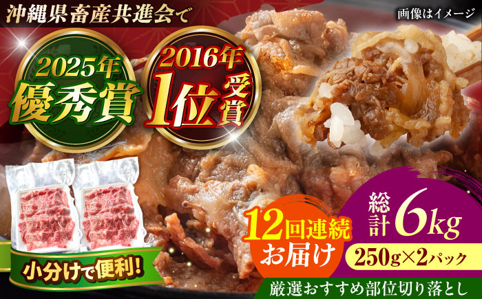 【全12回定期便】【厳選！おすすめ部位】沖縄和牛 佐渡山牛 切り落とし 500g 牛肉 焼肉 焼き肉 和牛 赤身 沖縄市 / 肉のサブロー [BCBC010]