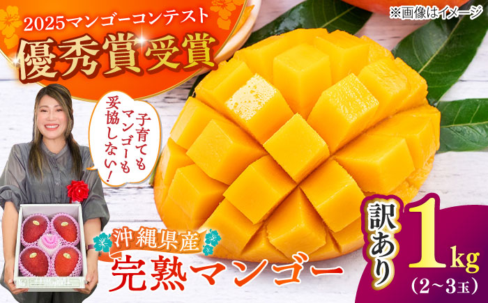 【優秀賞受賞】沖縄県産 完熟マンゴー 訳アリ 1kg (2〜3玉) マンゴー 沖縄 果物 フルーツ ギフト 沖縄市 / MAIFARM [BCAN003]