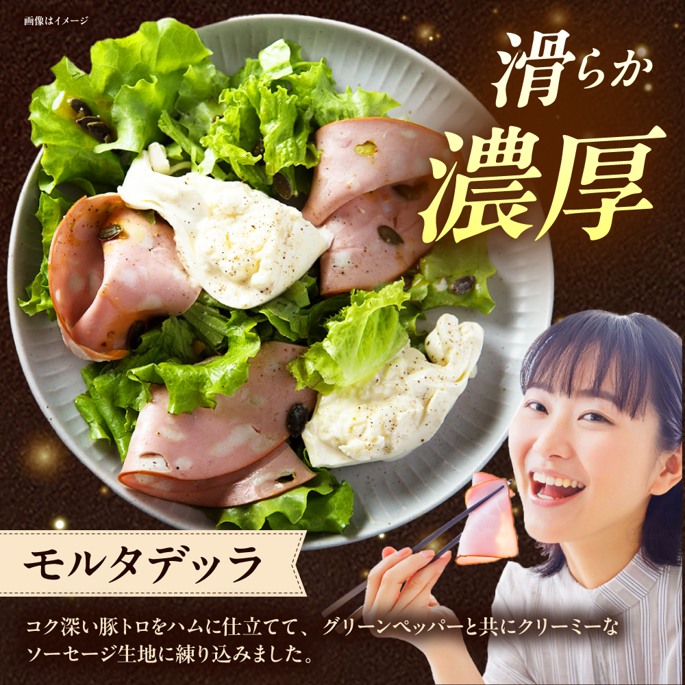 TESIOの自家製ハム＆ソーセージ 『手始めTESIOセット』 豚肉 ハム ソーセージ 小分け 真空パック 沖縄市 / TESIO [BCAD001]