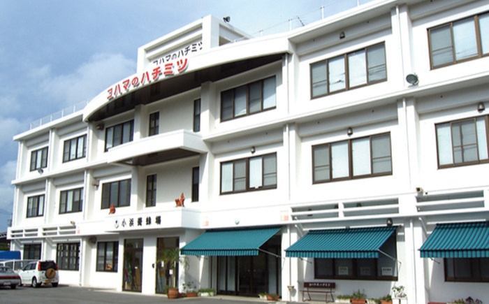 コハマのハチミツ 百花蜂蜜 計3.4kg (2.4kg×1本 / 500g×2本) 蜂蜜 はちみつ ハチミツ 国産 ギフト  沖縄市 / 農業生産法人株式会社小浜養蜂場 [BCAQ009] 