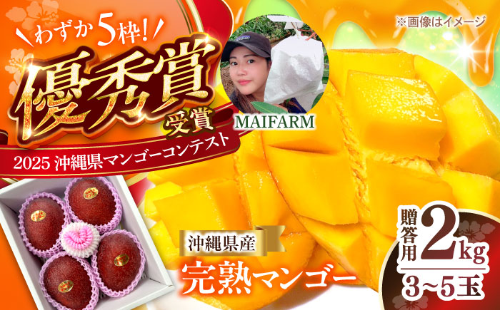 【優秀賞受賞】沖縄県産 完熟マンゴー 贈答用 2kg (3〜5玉) マンゴー 沖縄 果物 フルーツ ギフト 沖縄市 / MAIFARM [BCAN002]