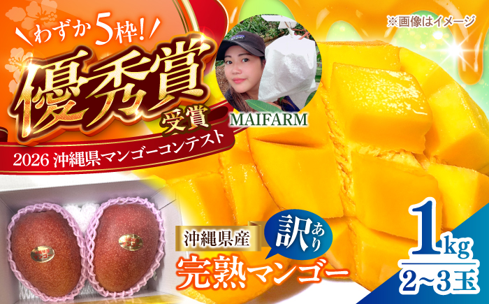 【2027年発送 先行予約】【優秀賞受賞】沖縄県産 完熟マンゴー 訳アリ 1kg (2〜3玉) マンゴー 沖縄 果物 フルーツ ギフト 沖縄市 / MAIFARM [BCAN003]