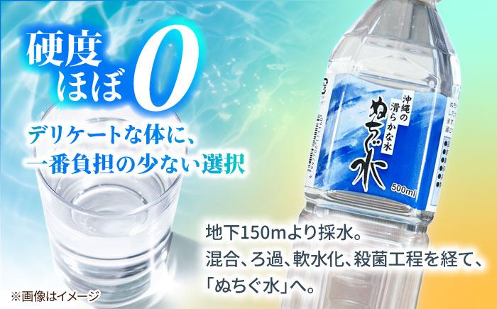 自然の名水 ぬちぐ水 500ml 24本 水 飲料水 ミネラルウォーター 防災 キャンプ 備蓄 / トゥワァイス [BCEJ001]