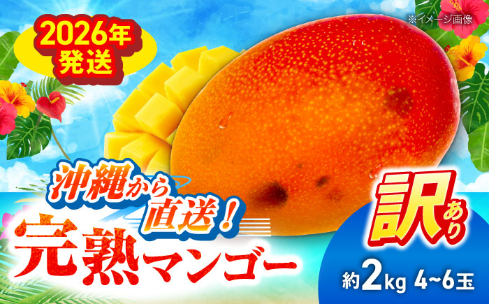 【先行予約 2026年発送 予約受付】 訳あり 完熟マンゴー 約2kg (4〜6玉入) マンゴー 沖縄 果物 フルーツ ギフト 沖縄市 / ちゃんぷる〜市場 [BCAA002]
