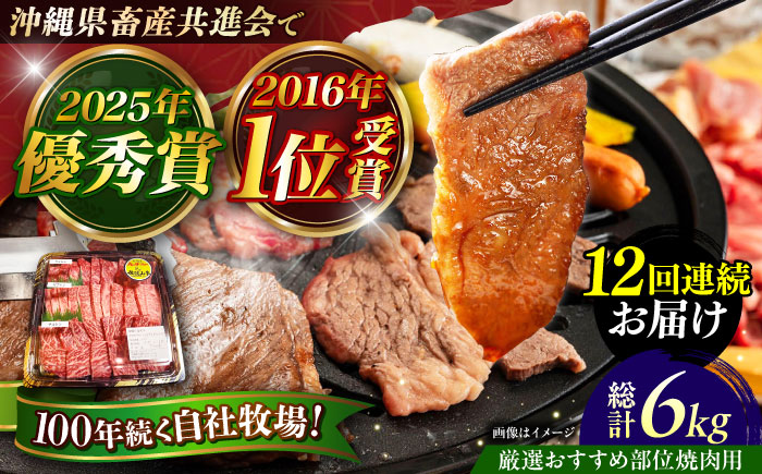 【全12回定期便】【厳選！おすすめ部位】沖縄和牛 佐渡山牛 焼肉用 500g 牛肉 焼肉 焼き肉 和牛 赤身 沖縄市 / 肉のサブロー [BCBC013]