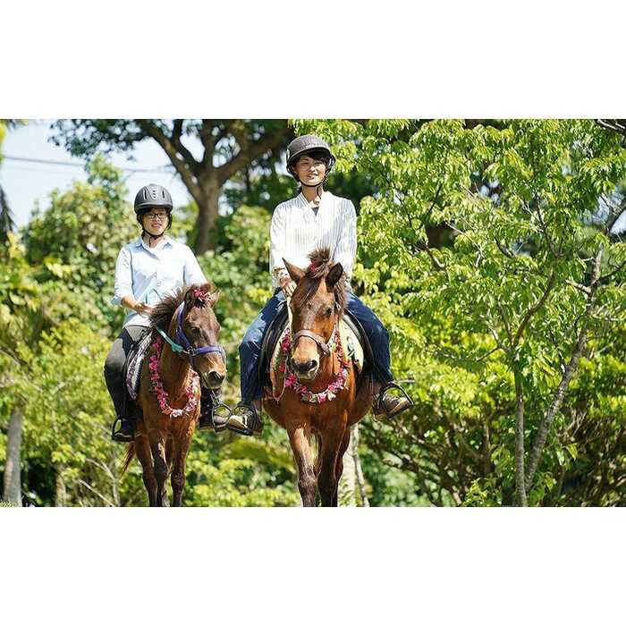 東南植物楽園 入園券 ＆ ランチ券 (大人2名) 入場券 チケット 植物園 テーマパーク 観光 沖縄市 / 株式会社東南植物楽園 [BCBY005]