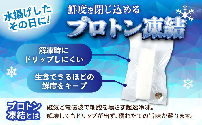 冷凍セーイカ (そでいか) 900g (300g ×3パック) 沖縄市 / 沖縄市漁業協同組合 パヤオ直売店 [BCDZ008]