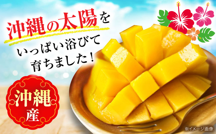 【2026年発送・数量限定】 【訳あり】 沖縄県産キーツマンゴー 約2kg (2〜5玉) マンゴー 沖縄 果物 フルーツ ギフト 沖縄市 / ちゃんぷる〜市場 [BCAA005]