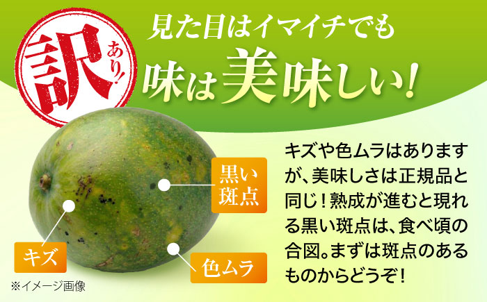 【2026年発送・数量限定】 【訳あり】 沖縄県産キーツマンゴー 約2kg (2〜5玉) マンゴー 沖縄 果物 フルーツ ギフト 沖縄市 / ちゃんぷる〜市場 [BCAA005]