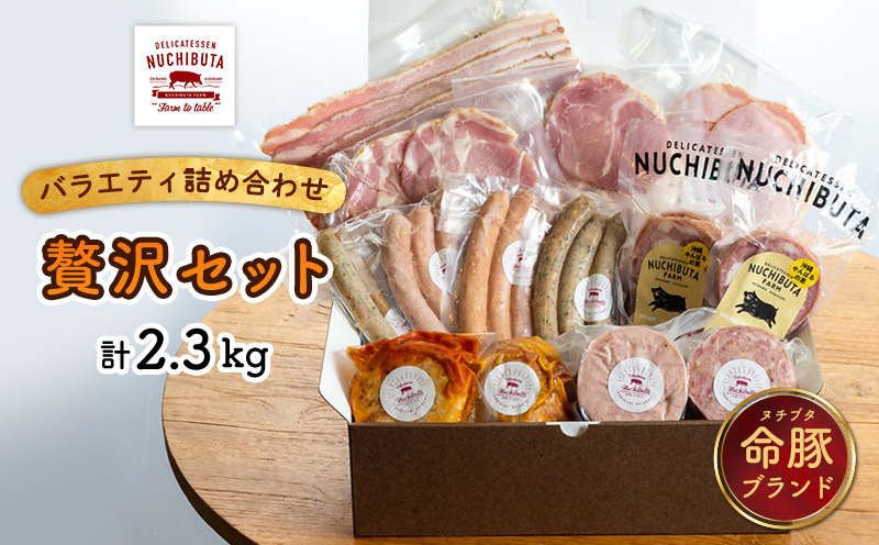 デリカテッセンヌチブタ　バラエティ詰め合わせ【贅沢セット】計2.3kg NUCHIBUTA 豚肉 加工品 ソーセージ ハンバーグ ベーコン ハム ポーク 詰め合わせ バラエティ おつまみ おかず 肉 グルメ 手作り アウトドア バーベキュー キャンプ飯 沖縄県産 沖縄市