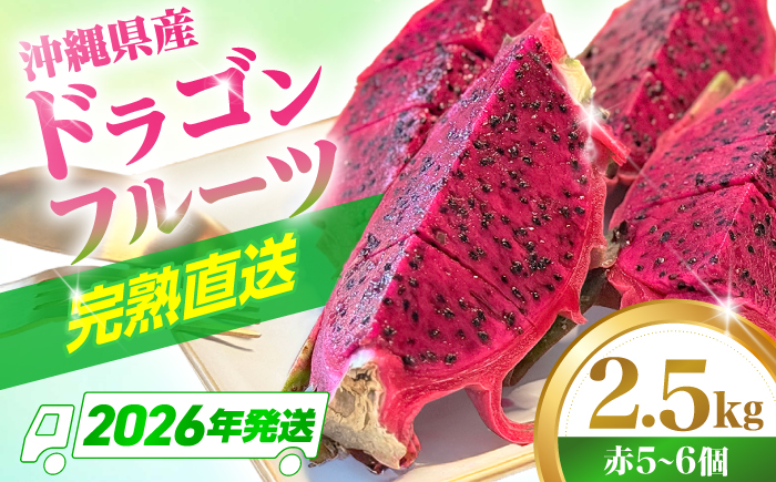 【2026年発送】農家直送！南国の果物 ドラゴンフルーツ 2.5kg 火龍果 果物 フルーツ デザート お取り寄せ 沖縄市 / タカエス フルーツ＆ベジタブル [BCBH002]