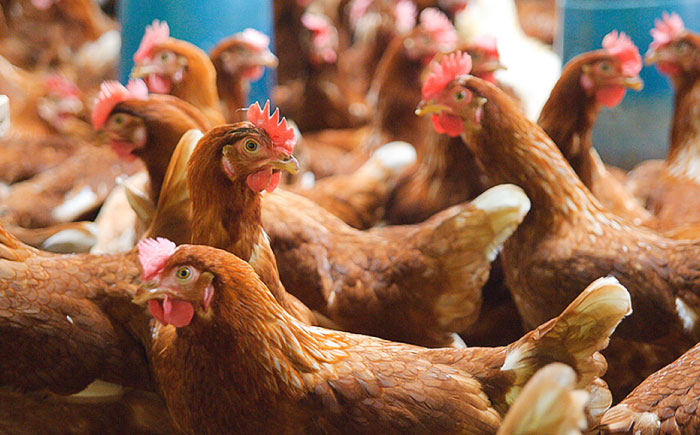 【腸活カレー】ボーンブロスのスパイスカレー＆ターメリックジャスミンライスセット (各5袋) 沖縄市 / BoneBrothFactoryOkinawa [BCAK010]