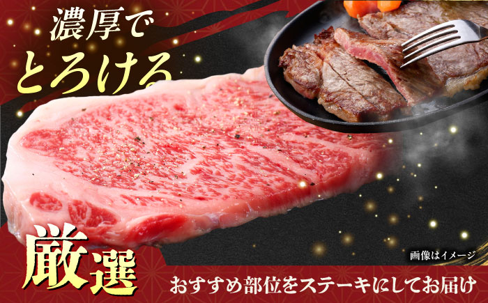 【全3回定期便】【厳選！おすすめ部位】沖縄和牛 佐渡山牛 ステーキ肉 500g ステーキ 牛肉 和牛 焼肉 赤身 沖縄市 / 肉のサブロー [BCBC005]