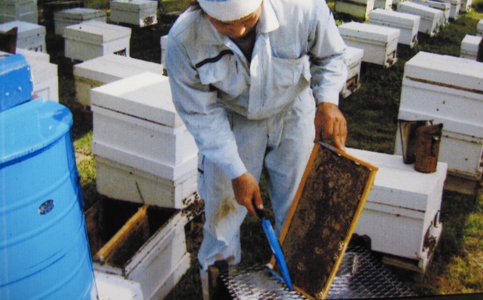 コハマのハチミツ 200g 5本セット 蜂蜜 はちみつ ハチミツ 国産 ギフト  沖縄市 / 農業生産法人株式会社小浜養蜂場 [BCAQ002] 