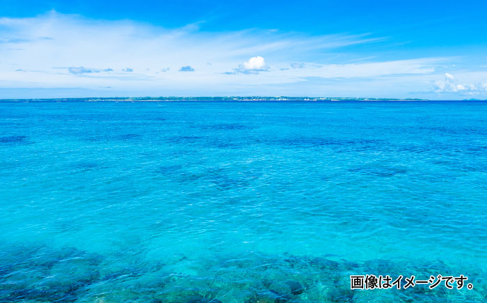 沖縄県産 乾燥あおさ (15g×20袋入り) あおさ アーサ 海藻 国産 小分け  沖縄市 / 合同会社沖縄直販 [BCDM002] 