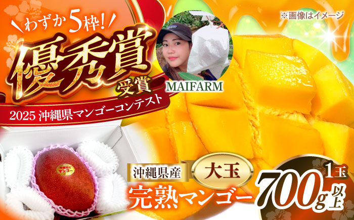 【最優秀賞受賞】沖縄県産 完熟マンゴー 大玉 1個入り マンゴー 沖縄 果物 フルーツ ギフト 沖縄市 / MAIFARM [BCAN005]