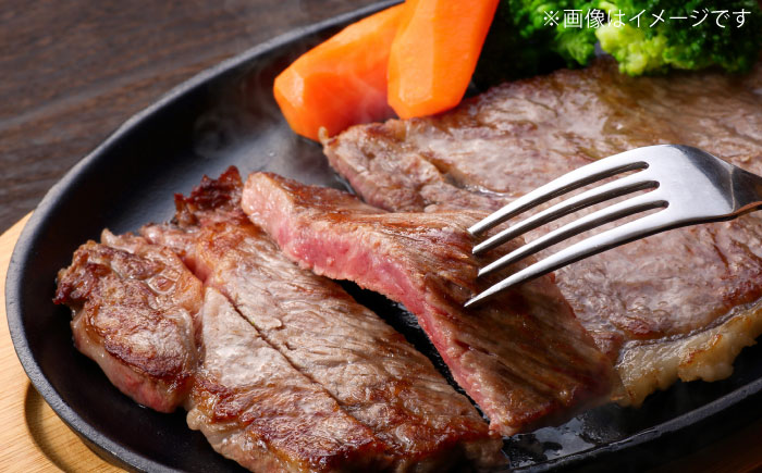 沖縄県産 石垣牛 ハンバーグ・ステーキセット 計600g 牛 ステーキ肉 和牛 ハンバーグ 冷凍 ギフト お取り寄せ 沖縄市 / お肉屋本店 [BCAZ005]