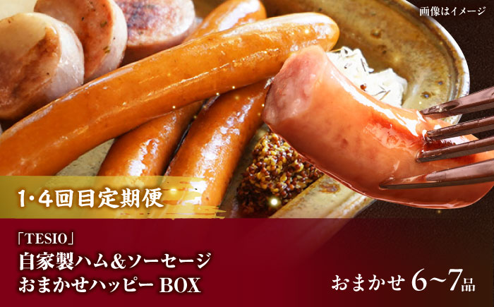 【全6回定期便】沖縄の絶品肉加工品セット【沖縄市】豚肉 ハム ソーセージ 豚まん ぶたまん ちまき 焼売 シュウマイ ハンバーグ 沖縄市 / TESIO / 豚々茶舗 / お肉屋本店 [BCZZ031]