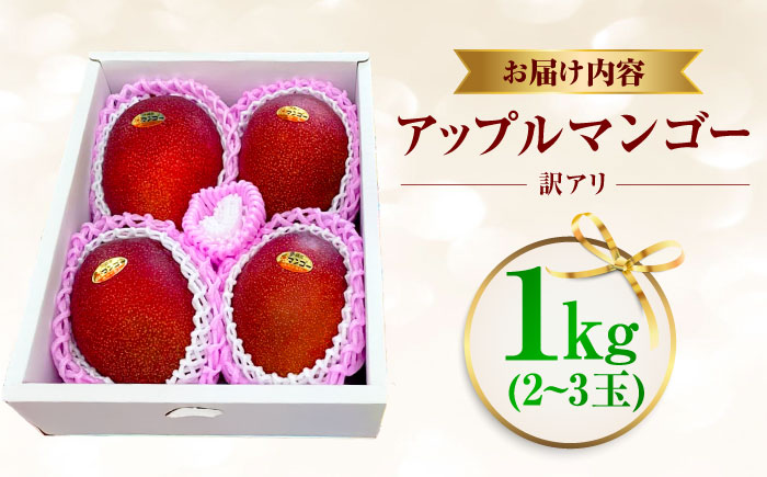 【2026年発送】【訳あり】仲村農園の完熟アップルマンゴー 1kg マンゴー 沖縄 果物 フルーツ ギフト 沖縄市 / 仲村農園 [BCCU004]